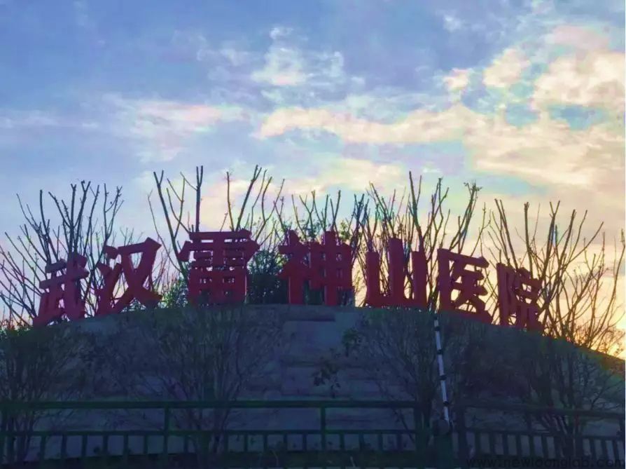 为了提供最优的方案助力雷神山医院，Sysmex在行动(图10)