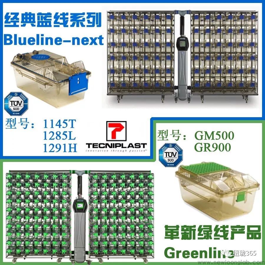 实验动物独立通气笼 绿线ivc(图1)