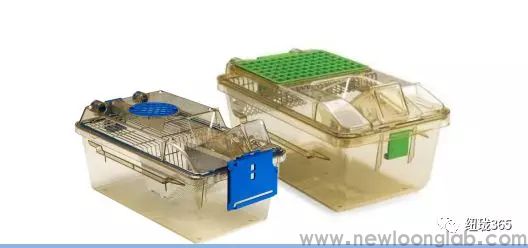 实验动物独立通气笼 绿线ivc(图2)