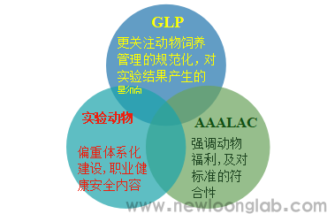 纽珑认证认证可咨询服务培训(图3)