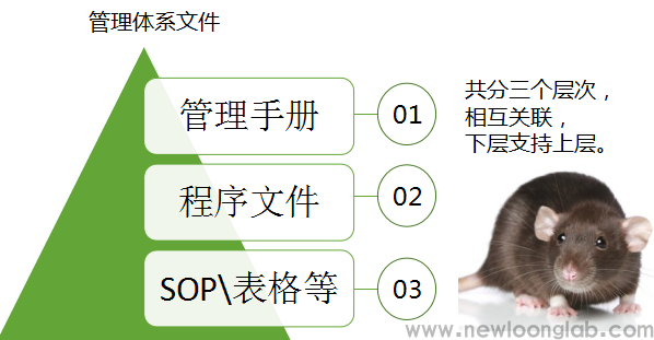 纽珑认证认证可咨询服务培训(图4)